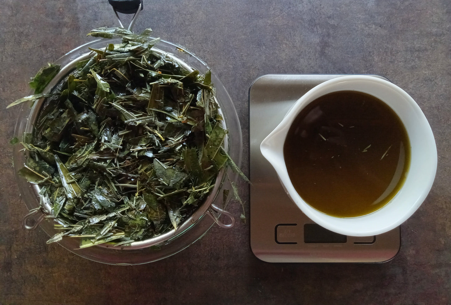 Bay Leaf + Rosemary Balm 2oz